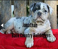 Back Country's Jonathan