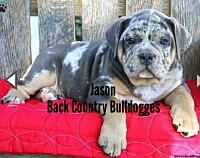 Back Country's Jason
