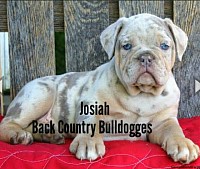Back Country's Josiah